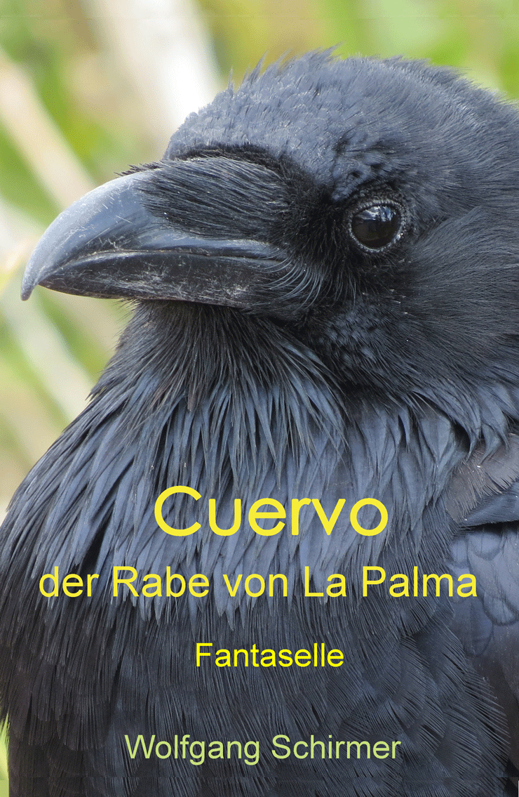 Cuervo-Cover-e-book.gif